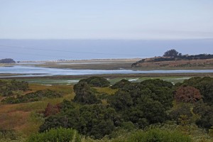 Elkhorn Slough