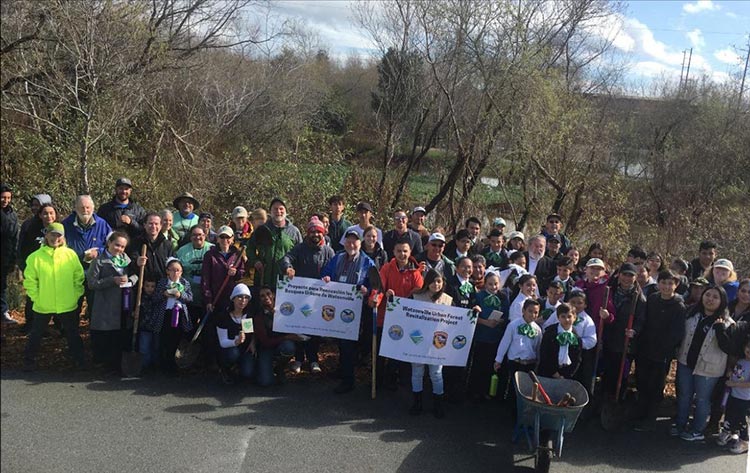 collaboratory wetlands watch