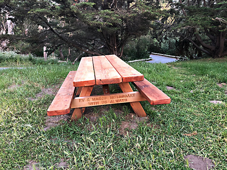 national park picnic table