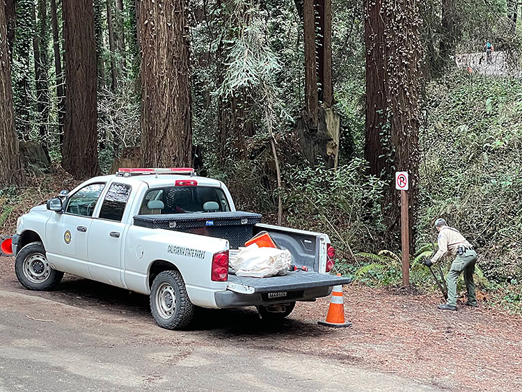 ‘No Parking’ Signs Go Up At Nisene Marks — Times Publishing Group, Inc.