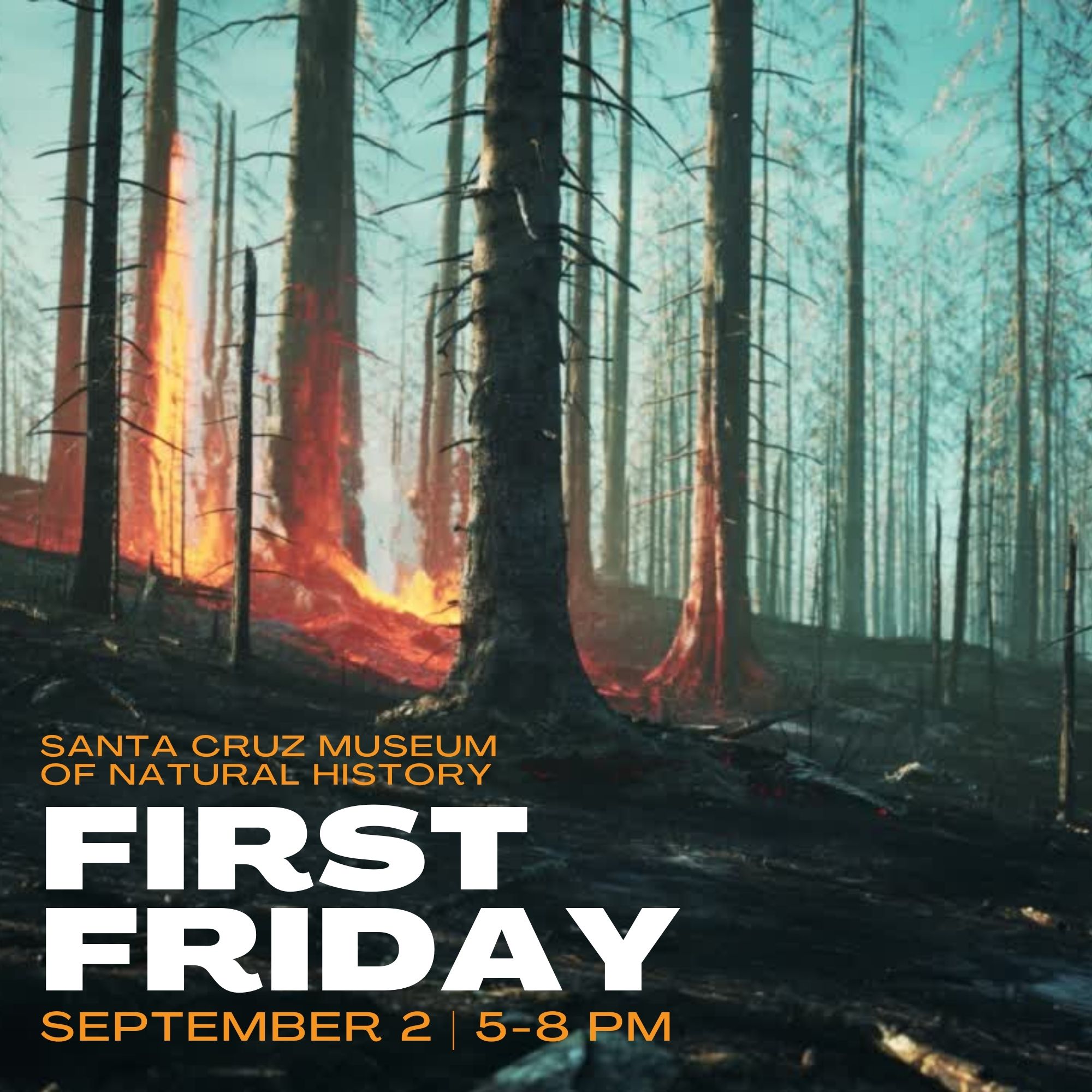 First Friday Fire after hours at the Museum TPG Online Daily