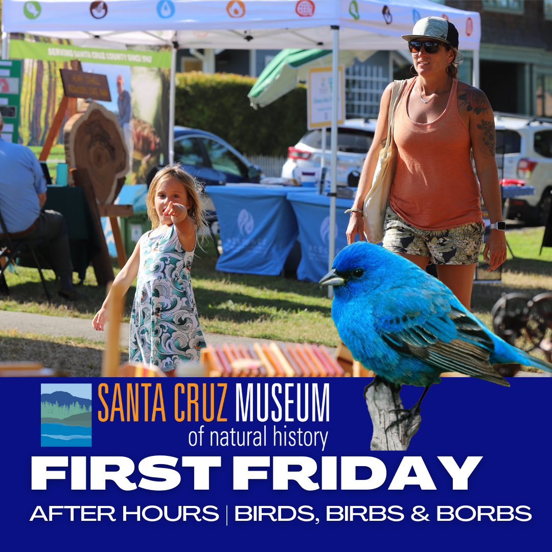 First Friday After Hours Birds Birbs and Borbs TPG Online Daily