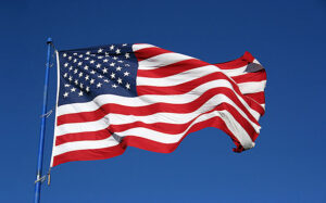 Veterans Day Times Publishing Group Inc tpgonlinedaily.com