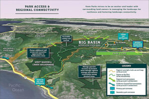 Measure Q Times Publishing Group Inc tpgonlinedaily.com

