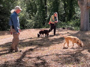 Sniffing Times Publishing Group Inc tpgonlinedaily.com