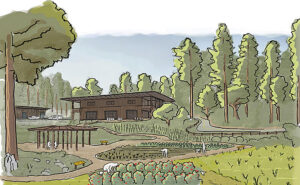 Big Basin Times Publishing Group Inc tpgonlinedaily.com