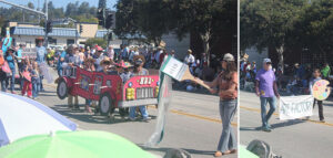 Parade Times Publishing Group Inc tpgonlinedaily.com