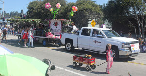 Parade Times Publishing Group Inc tpgonlinedaily.com