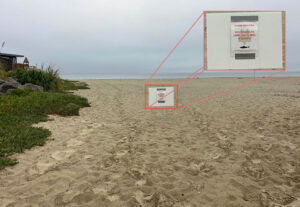 Sharks Sightings Times Publishing Group Inc tpgoninedaily.com