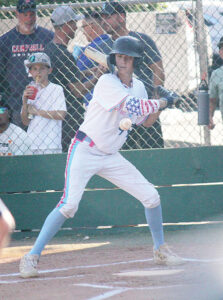 Little League Times Publishing Group Inc tpgonlinedaily.com