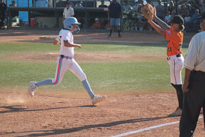 Little League Times Publishing Group Inc tpgonlinedaily.com