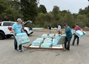 Drone Show Times Publishing Group Inc tpgonlinedaily.com