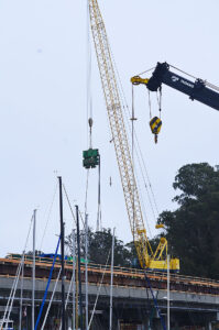 Murray St Times Publishing Group Inc tpgonlinedaily.com