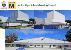 Measure M Times Publishing Group Inc tpgonlinedaily.com