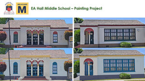 Measure M Times Publishing Group Inc tpgonlinedaily.com