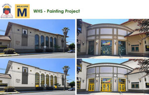 Measure M Times Publishing Group Inc tpgonlinedaily.com