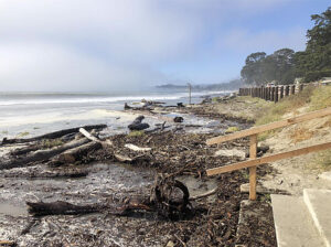 Beaches Times Publishing Group Inc tpgonlinedaily.com