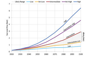 Beaches Times Publishing Group Inc tpgonlinedaily.com