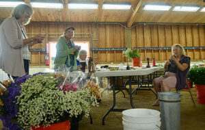 County Fair Times Publishing Group Inc tpgonlinedaily.com
