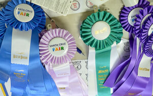 County Fair Times Publishing Group Inc tpgonlinedaily.com