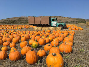 Halloween Times Publishing Group Inc tpgonlinedaily.com