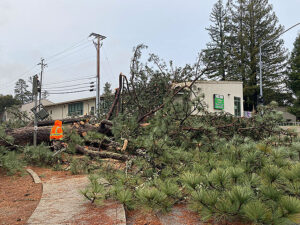 Walpole Times Publishing Group Inc tpgonlinedaily.com