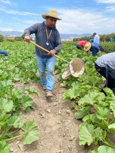 Ag Industry Times Publishing Group Inc tpgonlinedaily.com