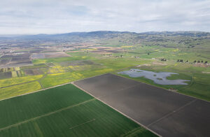 Pajaro River Times Publishing Group Inc tpgonlinedaily.com