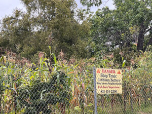 BESS Draft Times Publishing Group Inc tpgonlinedaily.com