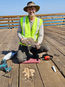 Bronze Sealife Times Publishing Group Inc tpgonlinedaily.com