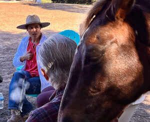 Beyond Liberty Times Publishing Group Inc tpgonlinedaily.com