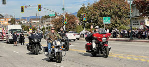 Veterans Times Publishing Group Inc tpgonlinedaily.com