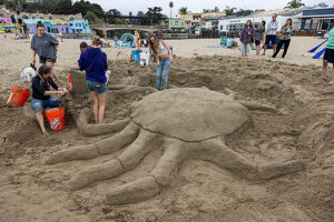 Beach Festival Times Publishing Group Inc tpgonlinedaily.com