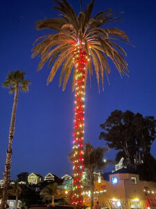 Holiday Extravaganza Times Publishing Group Inc tpgonlinedaily.com