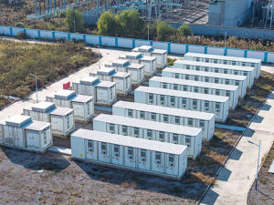 BESS Times Publishing Group Inc tpgonlinedaily.com