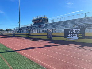 Future Times Publishing Group Inc tpgonlinedaily.com