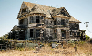 Year in Review Times Publishing Group Inc tpgonlinedaily.com