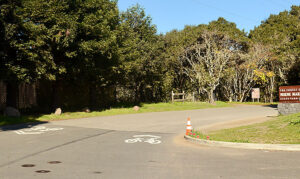 Year in Review Times Publishing Group Inc tpgonlinedaily.com