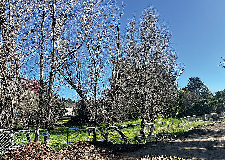 Housing Proposed on Old Par 3 Golf Course