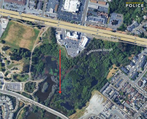 Mountain Lion Times Publishing Group Inc tpgonlinedaily.com