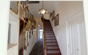 Bayview Hotel Times Publishing Group Inc tpgonlinedaily.com