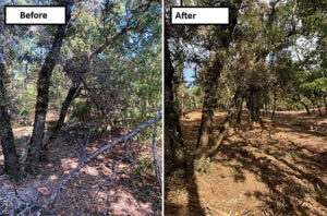 Scotts Valley Times Publishing Group Inc tpgonlinedaily.com