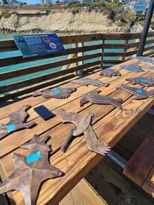 Capitola Soquel Times Publishing Group Inc tpgonlinedaily.com