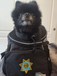 Perez Times Publishing Group Inc tpgonlinedaily.com