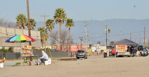 Taco Vendors Times Publishing Group Inc tpgonlinedaily.com