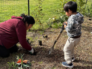 Tree Planting Times Publishing Group Inc tpgonlinedaily.com