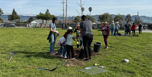 Tree Planting Times Publishing Group Inc tpgonlinedaily.com