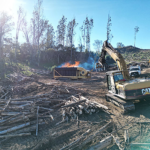 EucalyptusBiochar_Brothers-Ranch-Carbonator_Ken-Collins