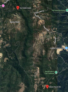 Jeanne Burke Times Publishing Group Inc tpgonlinedaily.com