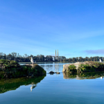 02BESSUpdates_Slough-Main